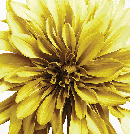 Mini Gift Card - select your occasion