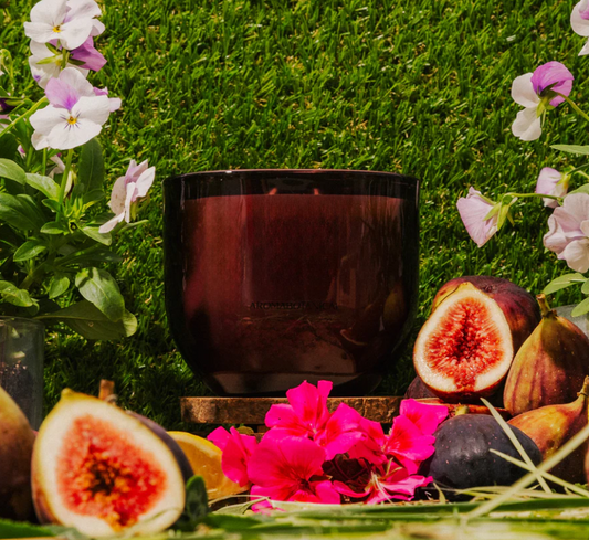 Aromabotanical Allure Wild Fig & Violet Candle 410g